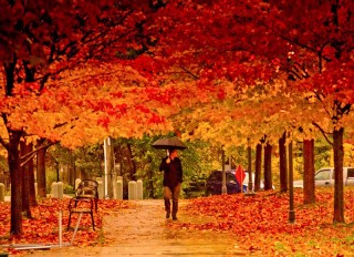 5 Steps To Independent Learning For Your Kids